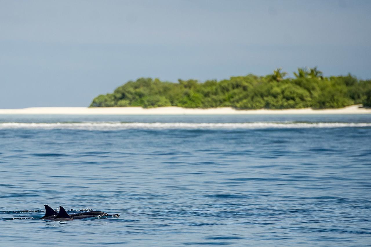 Detour Beach View Hangnaameedhoo エクステリア 写真